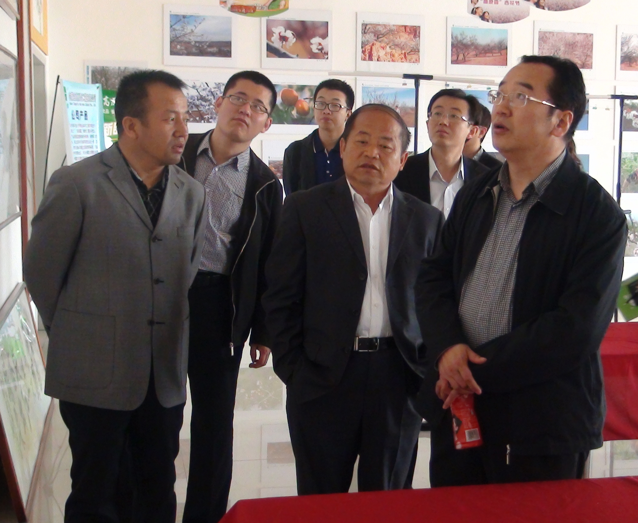 地下室的雏田全彩漫画免费阅读