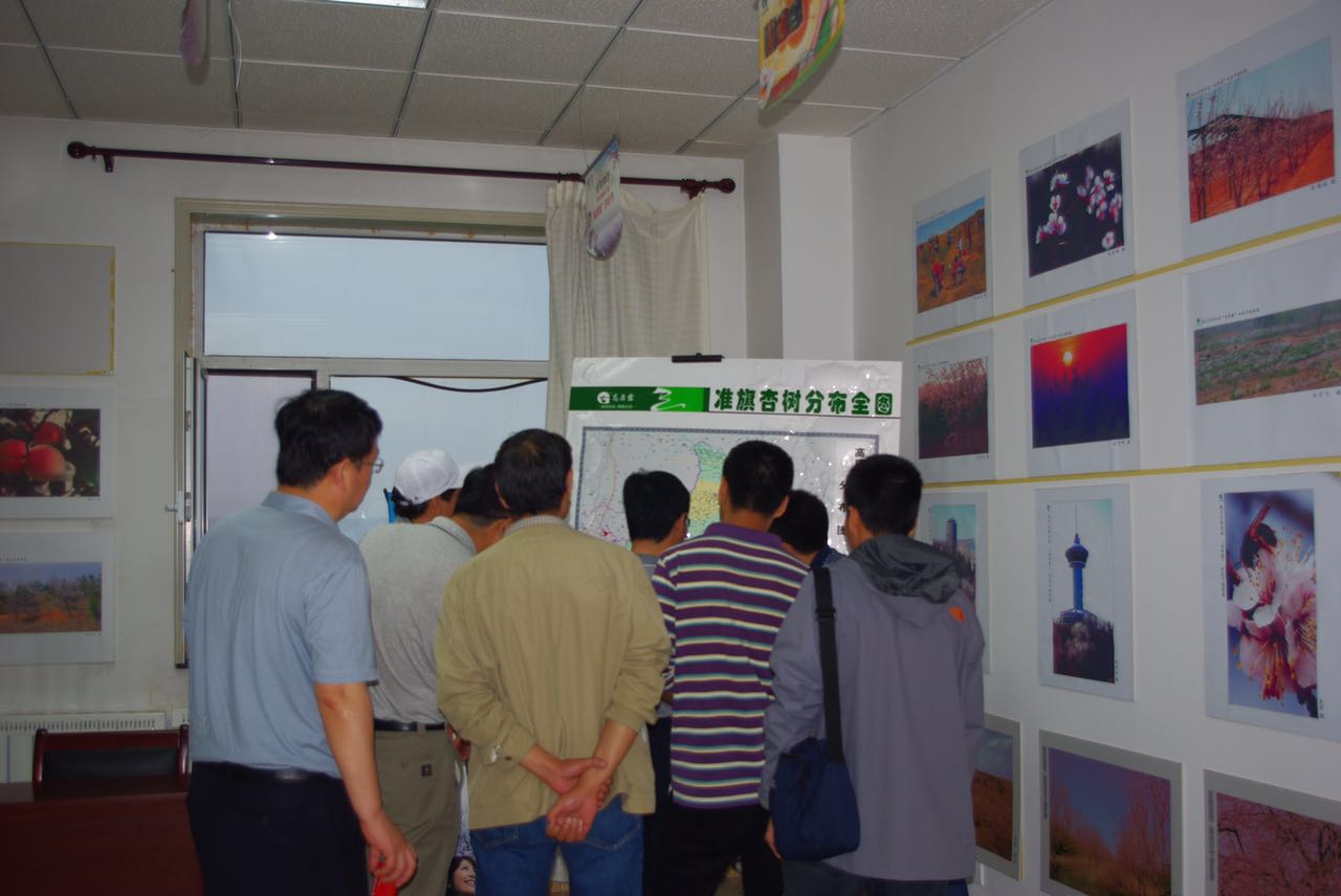 地下室的雏田全彩漫画免费阅读