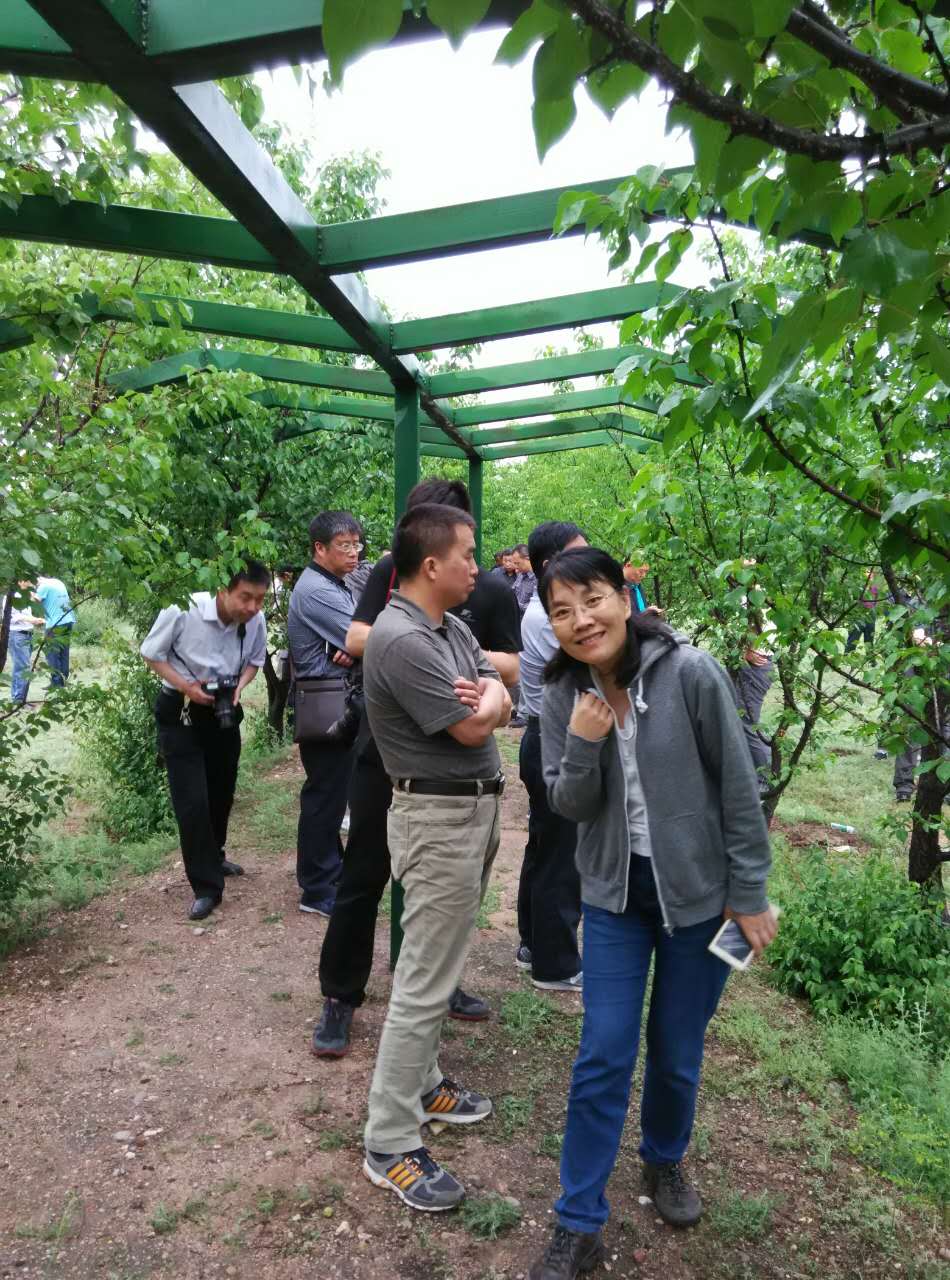 地下室的雏田全彩漫画免费阅读