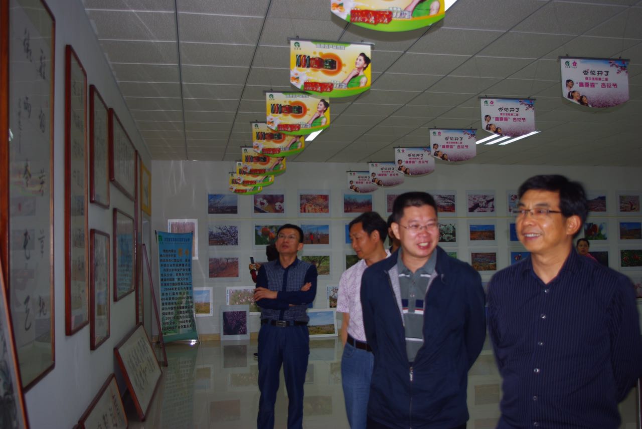 地下室的雏田全彩漫画免费阅读