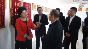 地下室的雏田全彩漫画免费阅读