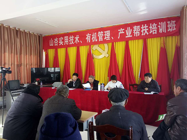 地下室的雏田全彩漫画免费阅读