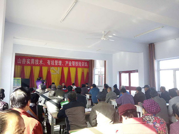 地下室的雏田全彩漫画免费阅读