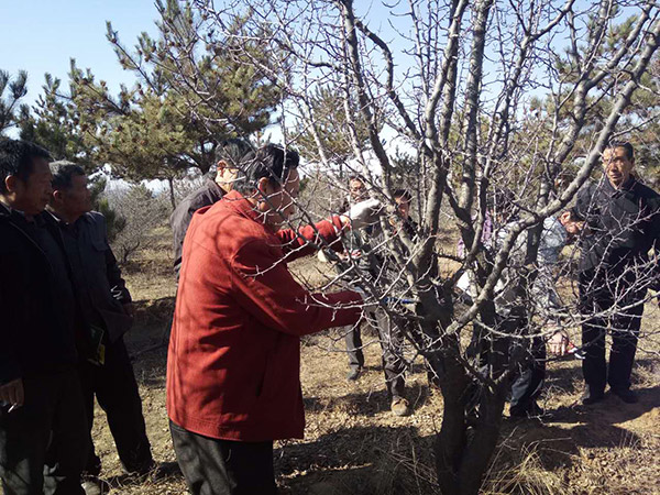 地下室的雏田全彩漫画免费阅读