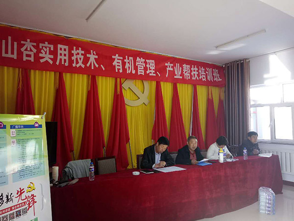 地下室的雏田全彩漫画免费阅读