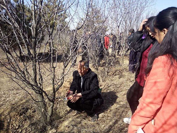 地下室的雏田全彩漫画免费阅读