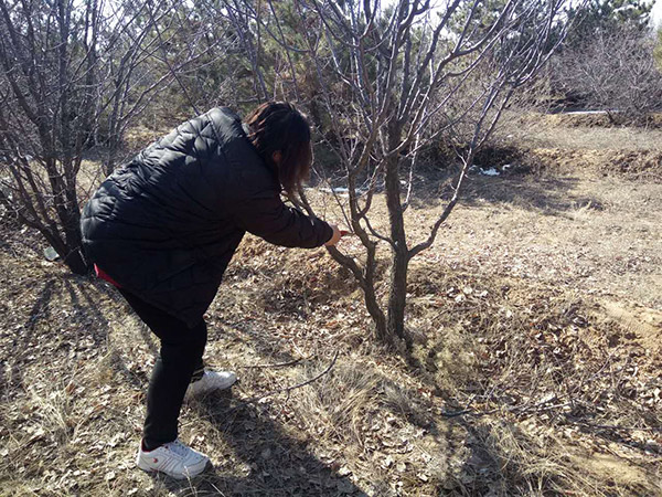 地下室的雏田全彩漫画免费阅读