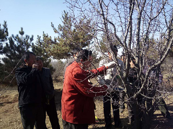 地下室的雏田全彩漫画免费阅读