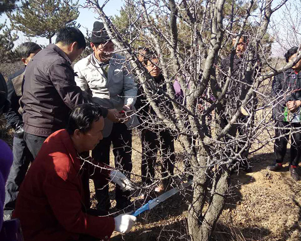 地下室的雏田全彩漫画免费阅读