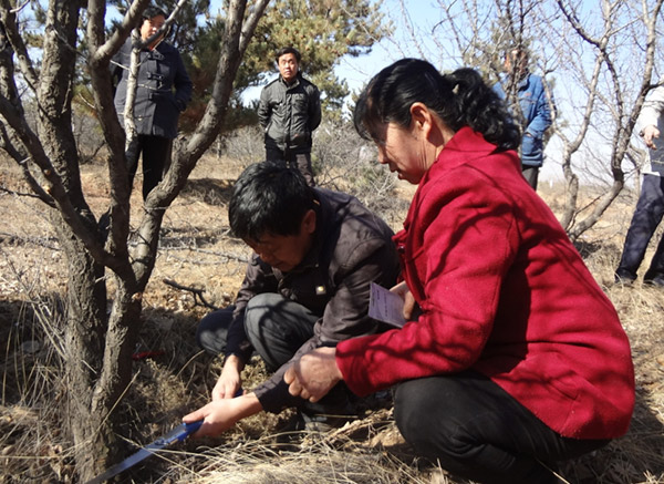 地下室的雏田全彩漫画免费阅读
