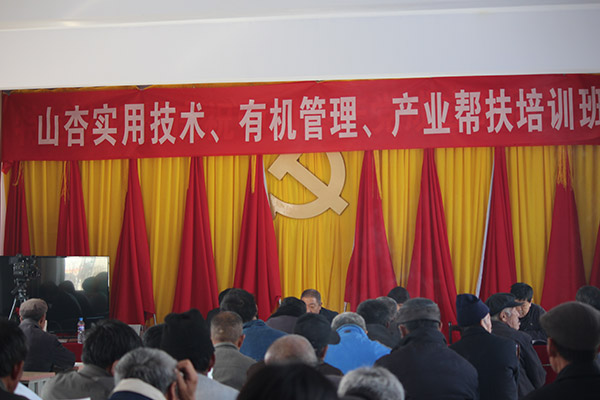 地下室的雏田全彩漫画免费阅读