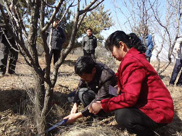 地下室的雏田全彩漫画免费阅读