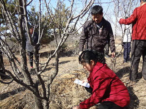 地下室的雏田全彩漫画免费阅读