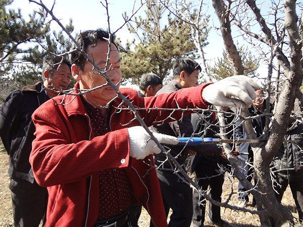 地下室的雏田全彩漫画免费阅读
