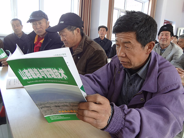 地下室的雏田全彩漫画免费阅读