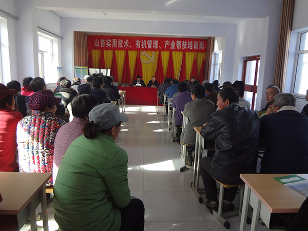 地下室的雏田全彩漫画免费阅读