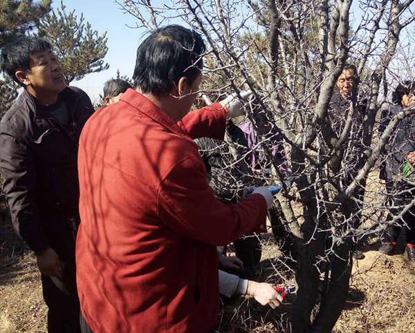地下室的雏田全彩漫画免费阅读
