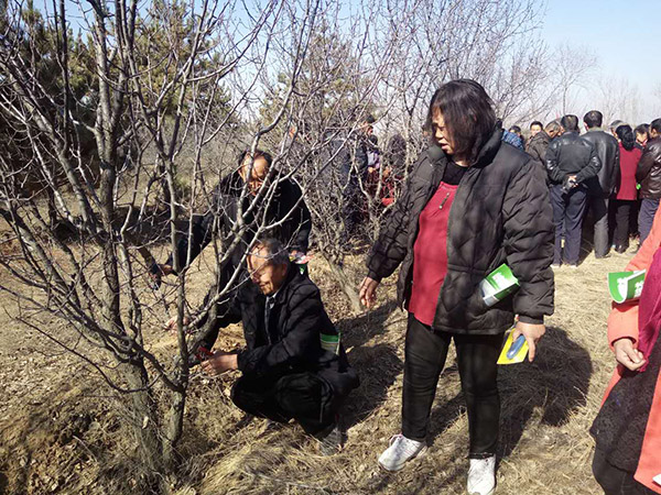 地下室的雏田全彩漫画免费阅读