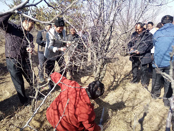 地下室的雏田全彩漫画免费阅读