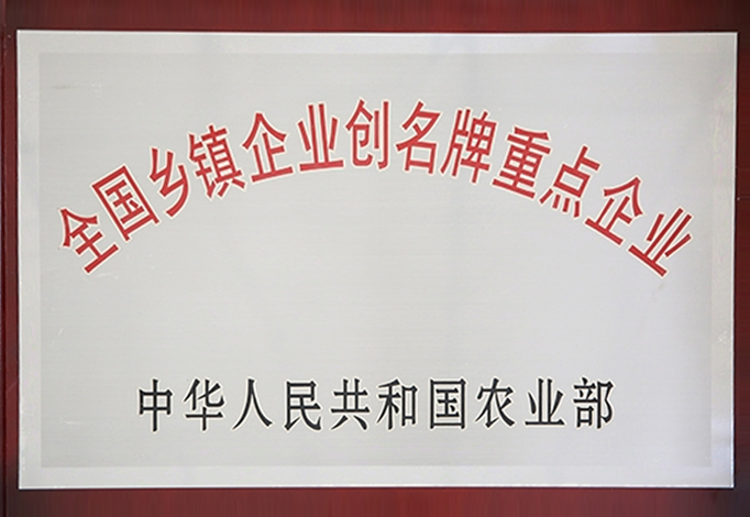 全国乡镇企业创名牌重点企业