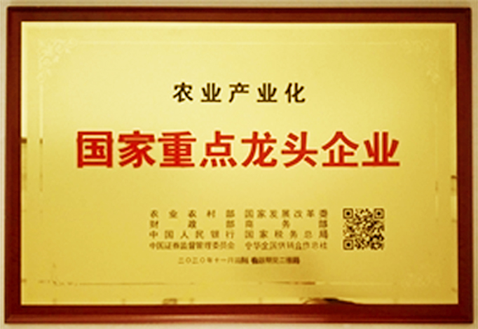 国家重点龙头企业